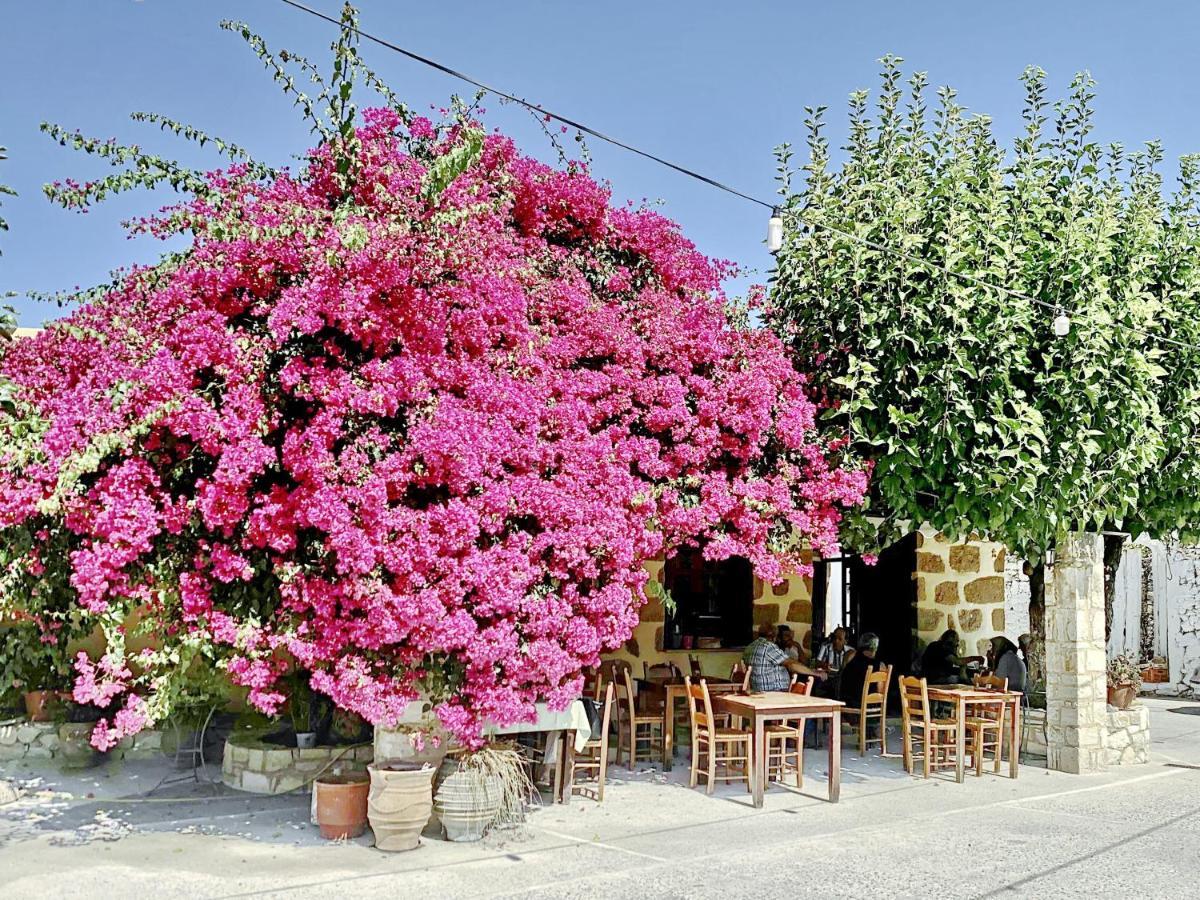 Villa Artemis Vryses Crete Alikampos المظهر الخارجي الصورة